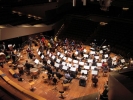 At the heart of the Orchestra